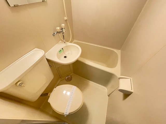 アストラムシンカワ