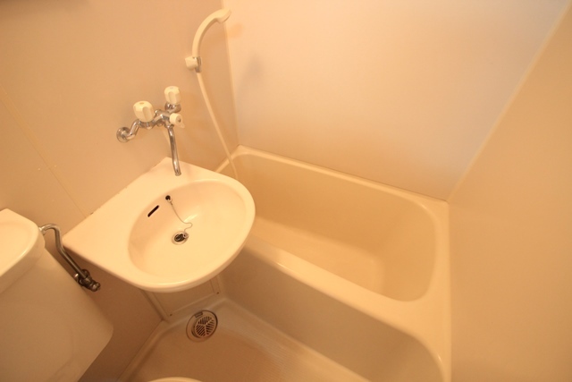 アストラムシンカワ