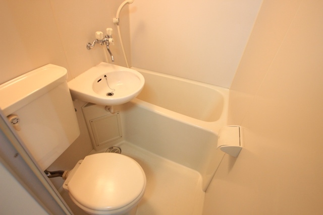 アストラムシンカワ