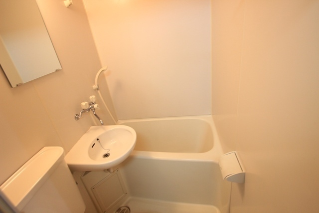 アストラムシンカワ