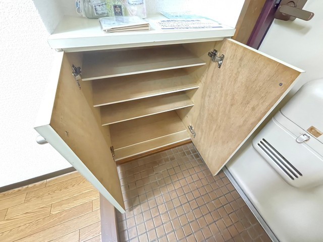 アストラムシンカワ