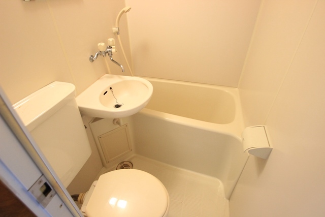 アストラムシンカワ