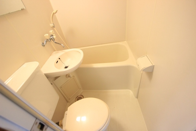 アストラムシンカワ