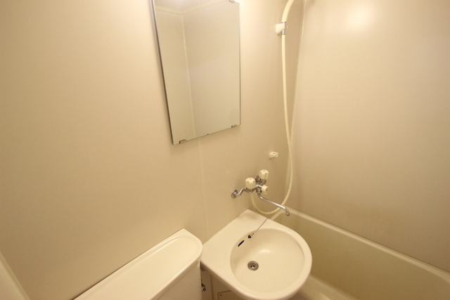 アストラムシンカワ