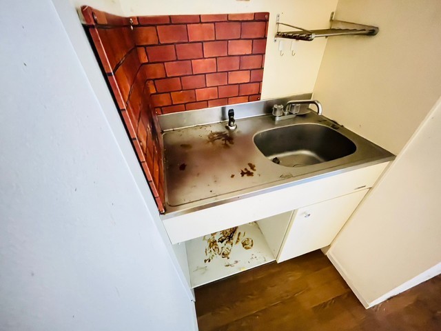 アルカサール大芝