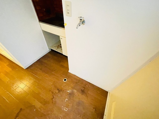 アルカサール大芝