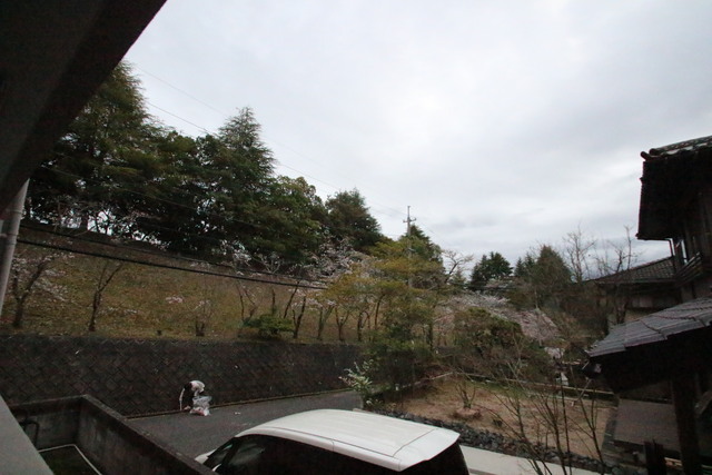 エンゼルタナカ