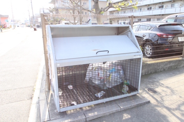 カーサベルデ(カワウチ6)