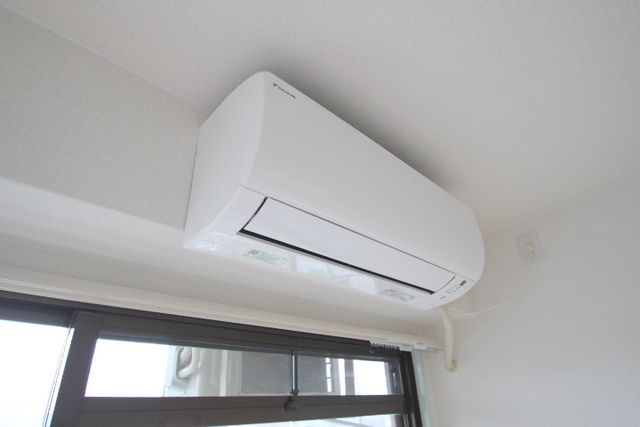 カトレアニシグチ