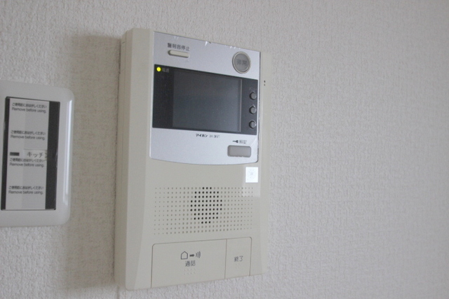 カトレアニシグチ