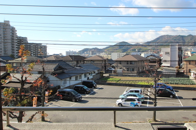 カトレアニシグチ