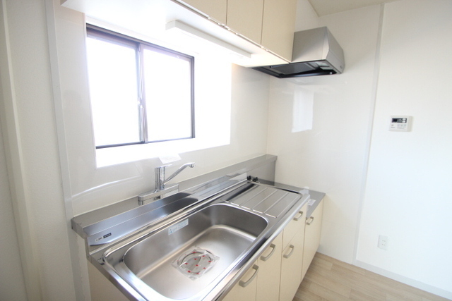 カトレアニシグチ