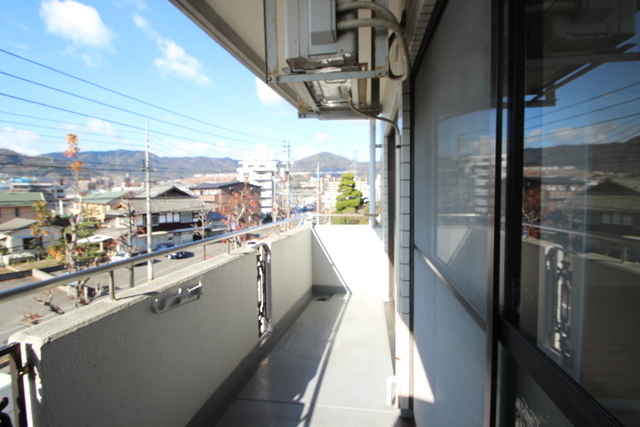 カトレアニシグチ