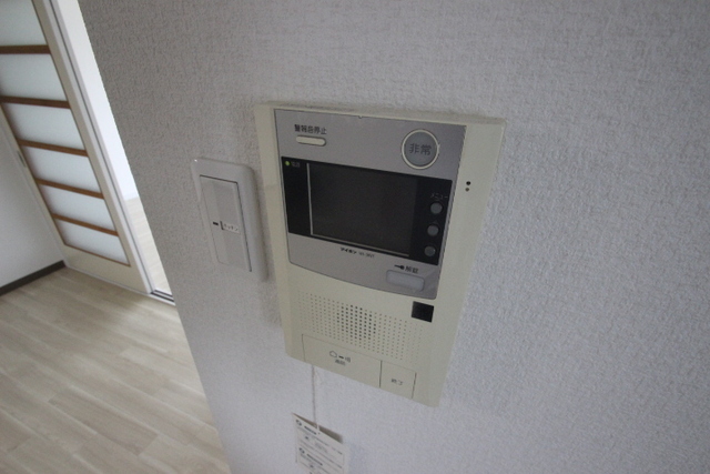 カトレアニシグチ