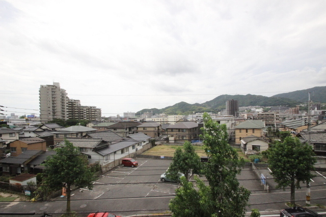 カトレアニシグチ