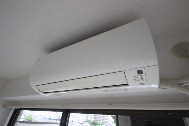 カトレアニシグチ