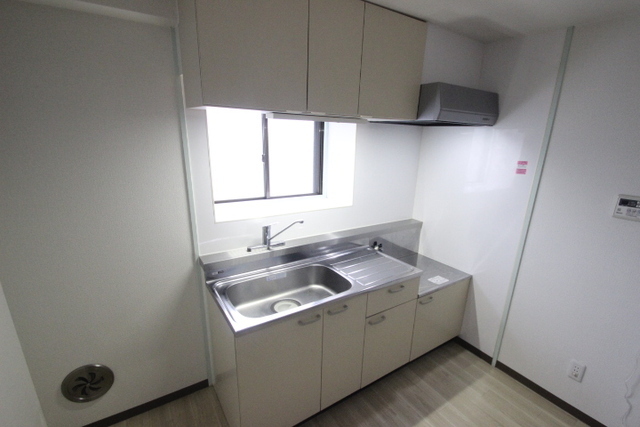 カトレアニシグチ