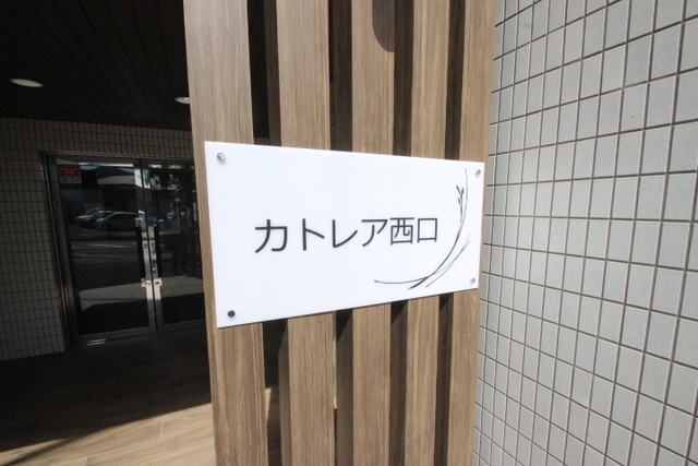 カトレアニシグチ