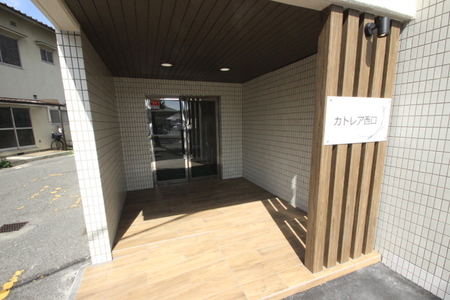 カトレアニシグチ