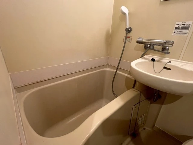 キャッツアイ本川