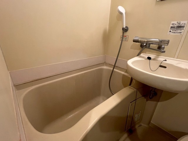 キャッツアイ本川