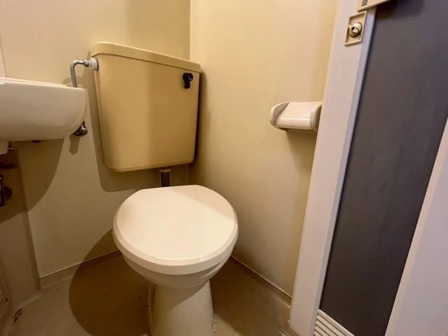 キャッツアイ本川