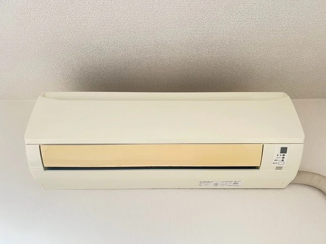 キャッツアイ本川