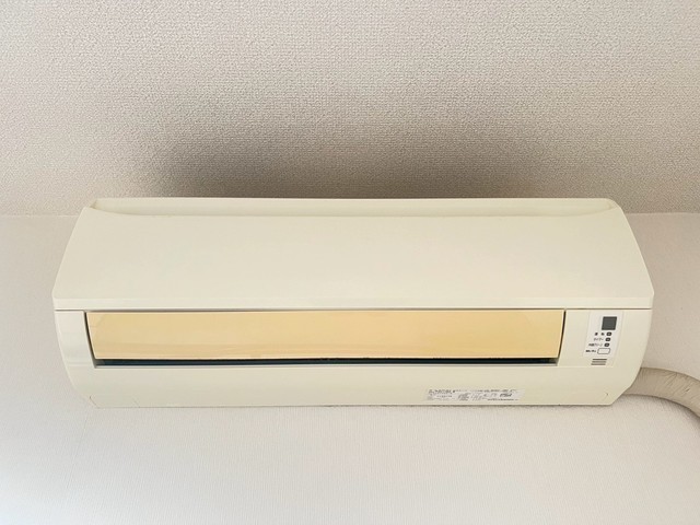 キャッツアイ本川