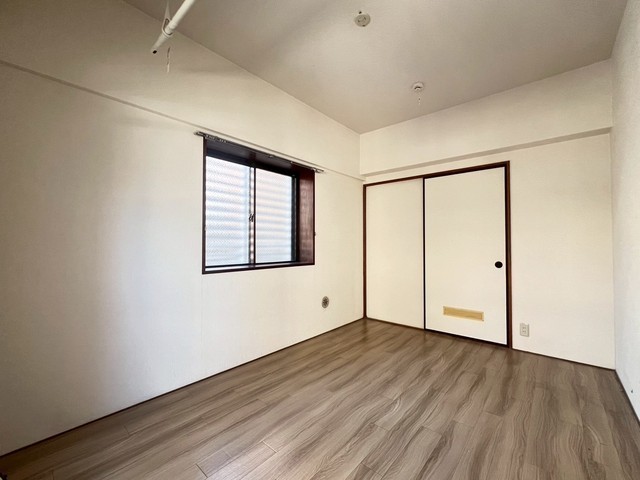 キャッツアイ本川