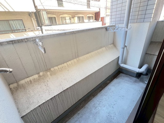 キャッツアイ本川