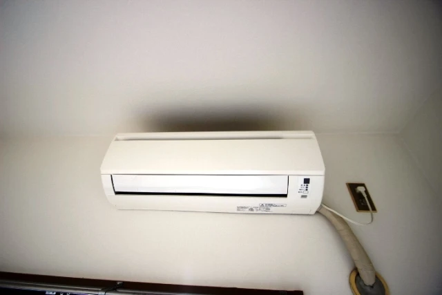 キャッツアイ本川