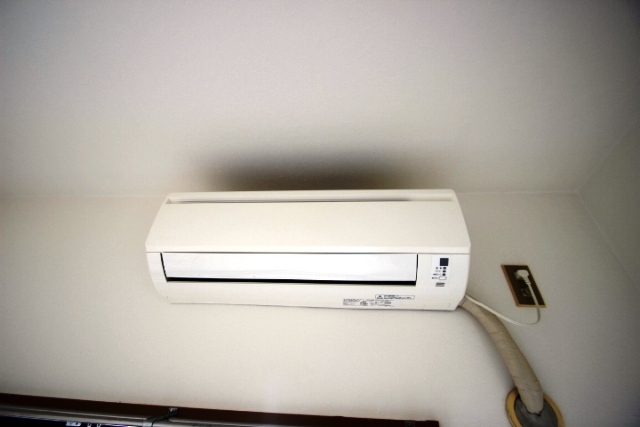 キャッツアイ本川