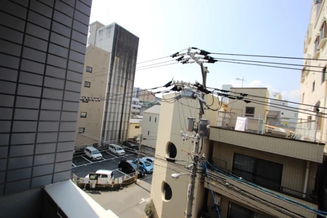 キャッツアイ本川