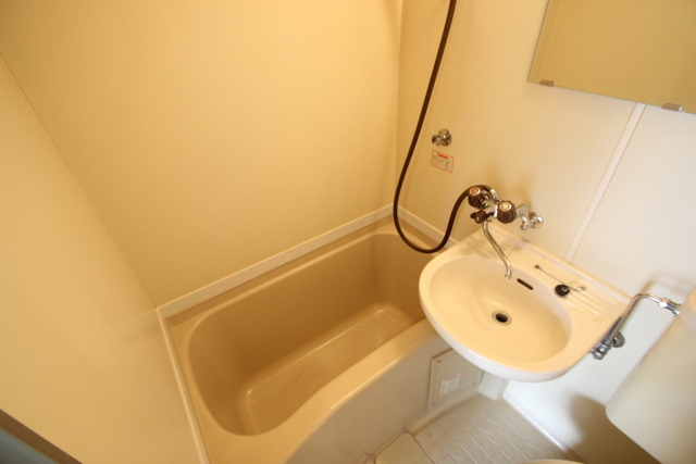 キャッツアイ本川