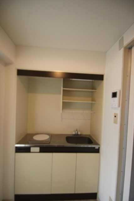 キャッツアイ本川