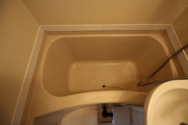 キャッツアイ本川