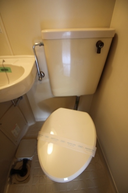 キャッツアイ本川