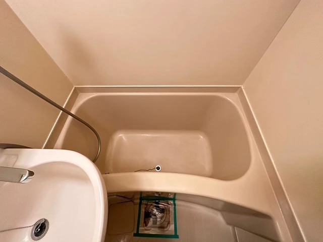 キャッツアイ本川