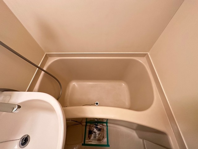 キャッツアイ本川