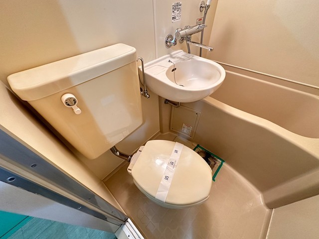 キャッツアイ本川