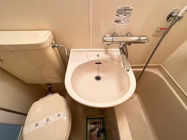 キャッツアイ本川