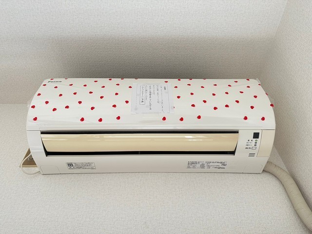 キャッツアイ本川