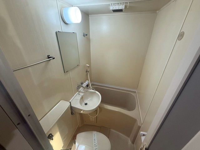 キャッツアイ本川