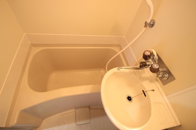 キャッツアイ本川