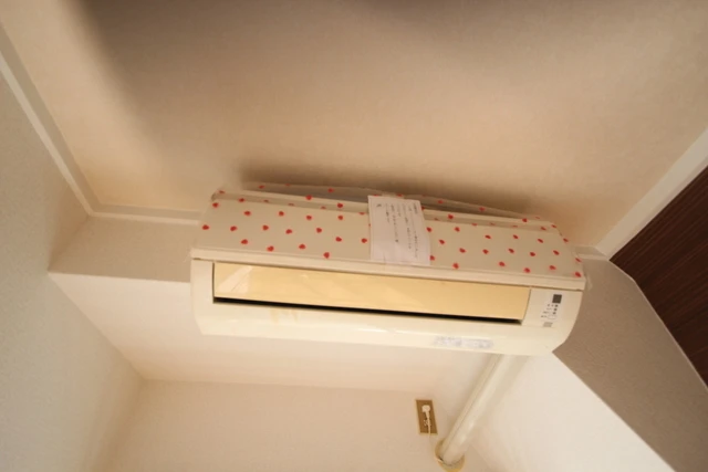 キャッツアイ本川