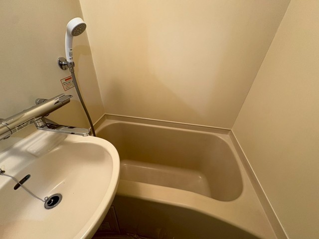 キャッツアイ本川