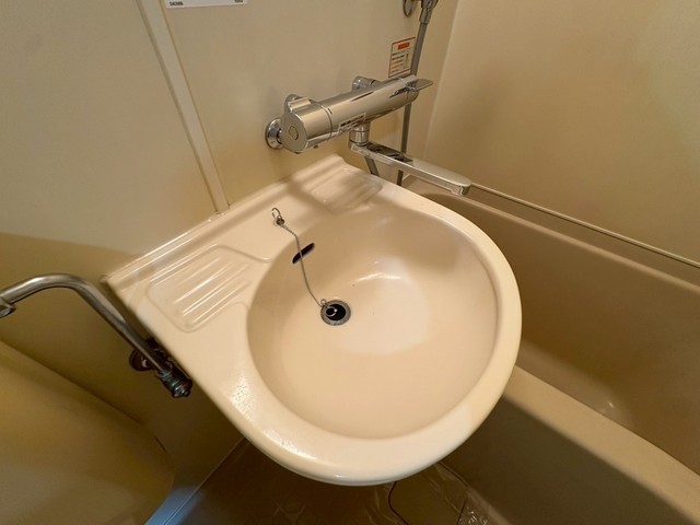 キャッツアイ本川