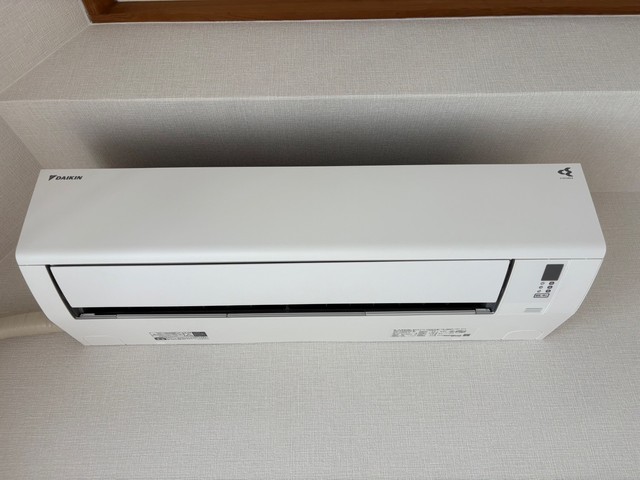 キャッツアイ本川