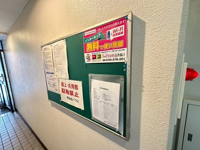 キャッツアイ本川