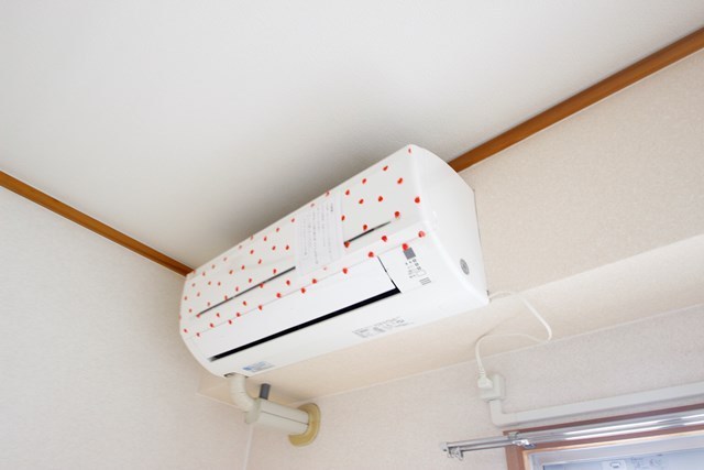 グレイスミウラ